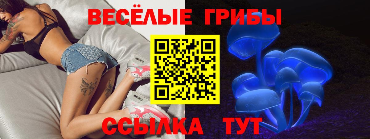 Псилоцибиновые грибы GOLDEN TEACHER Новодвинск